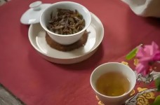 什么是龟山岩绿