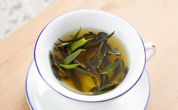 白牡丹茶凉性还是热性.jpg