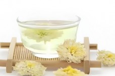 贡菊泡茶好喝吗