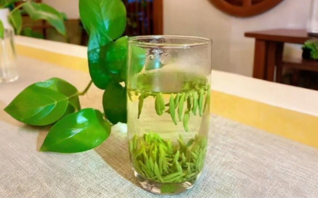 什么是叙府龙芽.jpg 什么是叙府龙芽.jpg