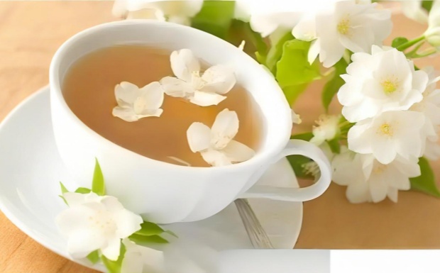 白兰花茶是热性还是凉性.jpg
