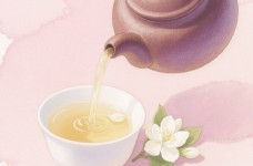 踏雪兰妃是茉莉花茶吗