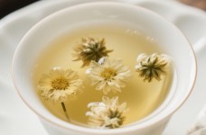 胎菊多少度水泡合适