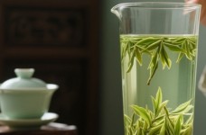 什么是水西翠柏