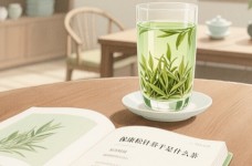 保康松针属于什么茶