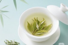 宝顶雪芽属于什么茶
