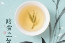 踏雪兰妃多少度水泡好