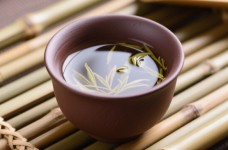永川秀芽的特点有哪些