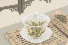 桐庐天尊贡芽的特点有哪些