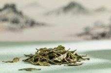 双井绿怎么样