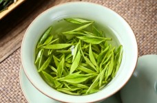 老竹大方特点有哪些