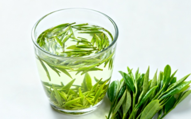蒲江雀舌好不好喝.jpg 蒲江雀舌好不好喝.jpg