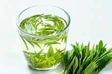 蒲江雀舌好不好喝