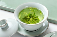 舒城兰花怎么样