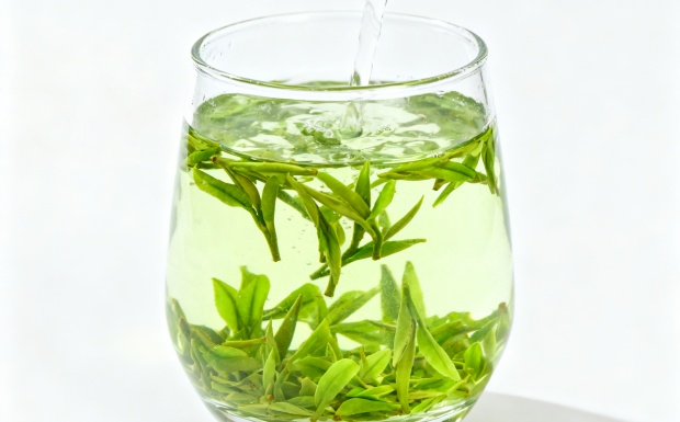 日照绿茶好不好喝.jpg 日照绿茶好不好喝.jpg