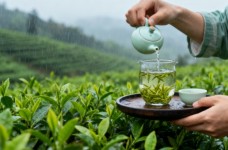 武阳春雨怎么样