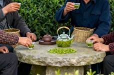 隆中茶怎么样