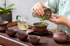 黄山绿牡丹怎么样