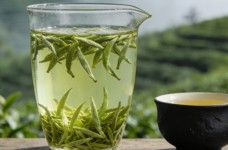 秦巴雾毫怎么样