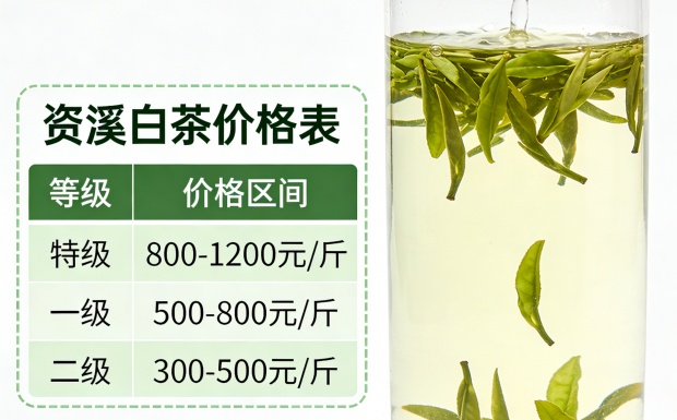 生成图片_副本.jpg