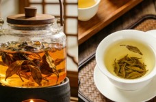 老白茶煮着喝好还是泡着喝好