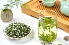 沩江白毛尖怎么样