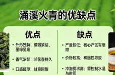 涌溪火青的优缺点