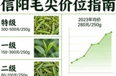 信阳毛尖价位