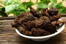 老茶头为什么会发酵