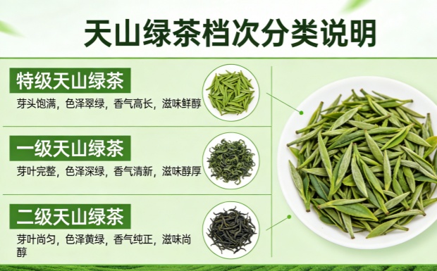 生成茶叶档次图片_副本.jpg 生成茶叶档次图片_副本.jpg