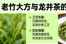 老竹大方和龙井茶的关系