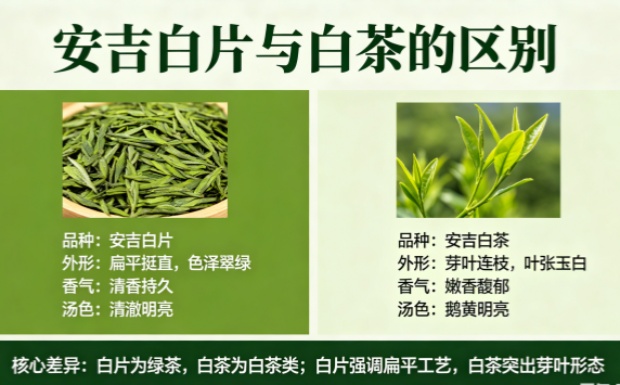 新对话-2_副本.jpg 新对话-2_副本.jpg