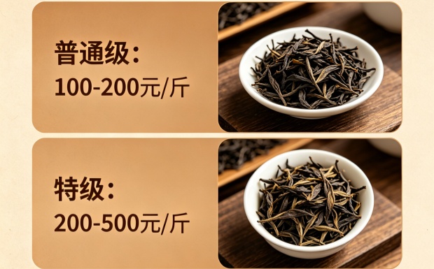 新对话-2_副本.jpg 新对话-2_副本.jpg