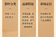 白琳工夫是什么档次