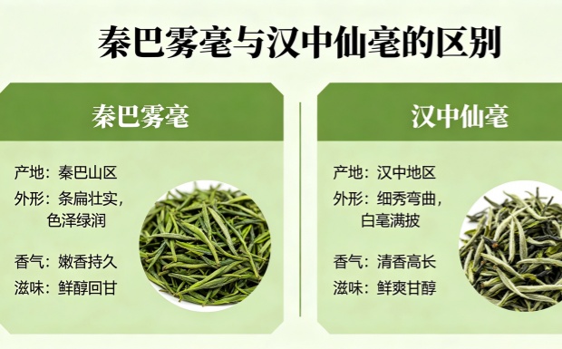 新对话_副本.jpg 新对话_副本.jpg