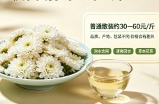 杭白菊多少钱一斤