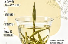 政和白毫银针怎么泡