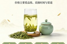 钱塘龙井茶一斤多少钱