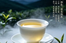 月光白白茶怎么样