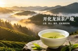 开化龙顶茶产地