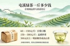 屯溪绿茶一斤多少钱