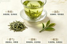 水西翠柏绿茶的特点是什么