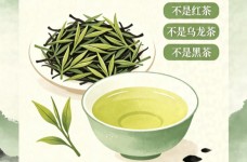 阳羡雪芽是红茶还是绿茶