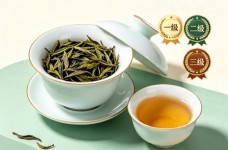 广东大叶青茶属于几级茶