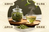 金山翠芽茶多少钱一斤