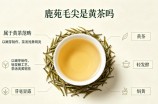 鹿苑毛尖是黄茶吗