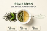 贵定云雾茶好喝吗