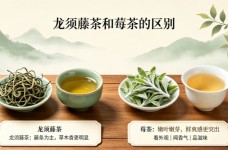龙须藤茶和莓茶的区别