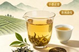 兰溪毛峰茶陈茶可以喝吗