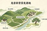 龙岩斜背茶发源地